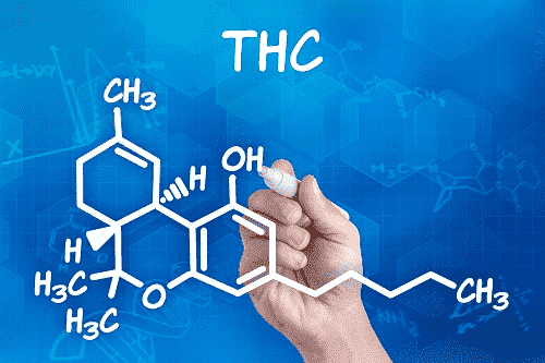 A hand drawing the chemical formula for Cannabinol on a blue background